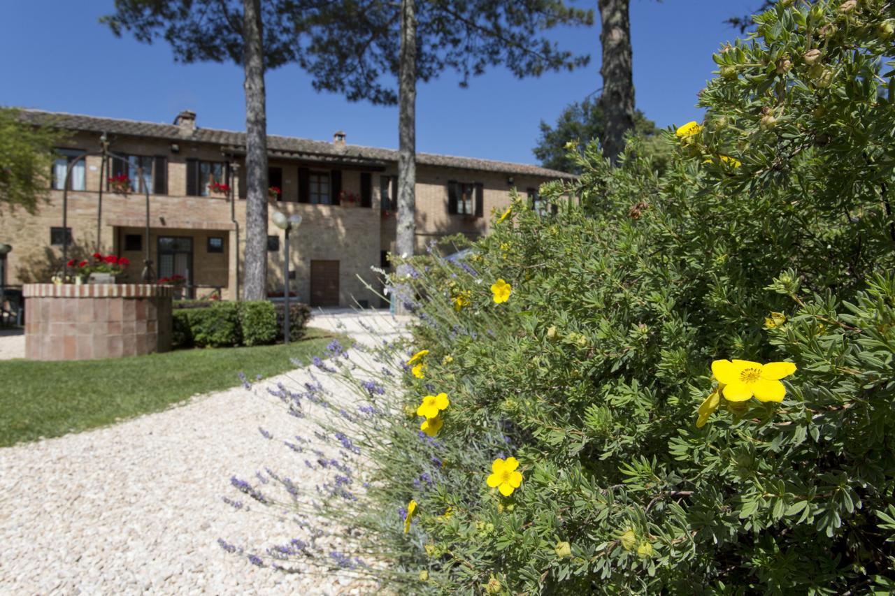 Casale San Galgano Aparthotel